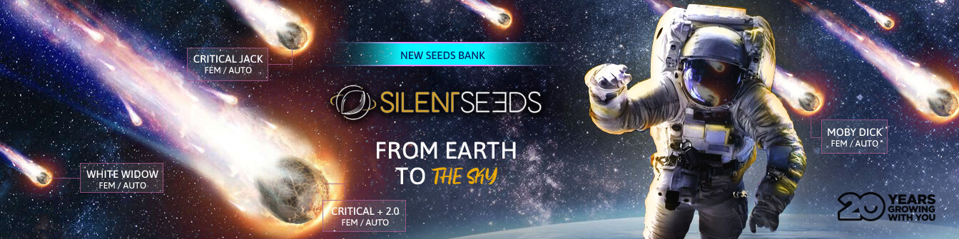 Silent Seeds New