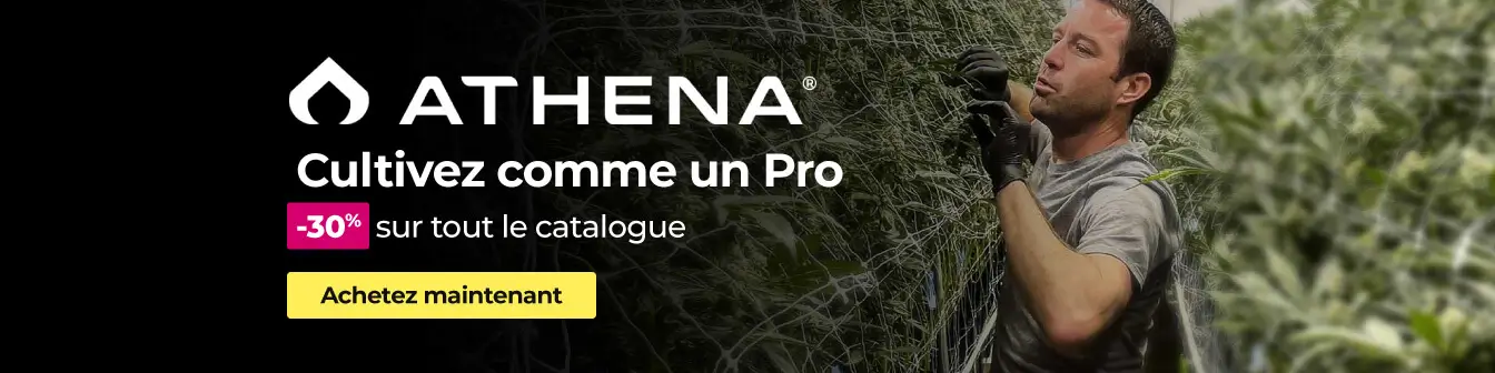 Home Athena -30% Setembre26