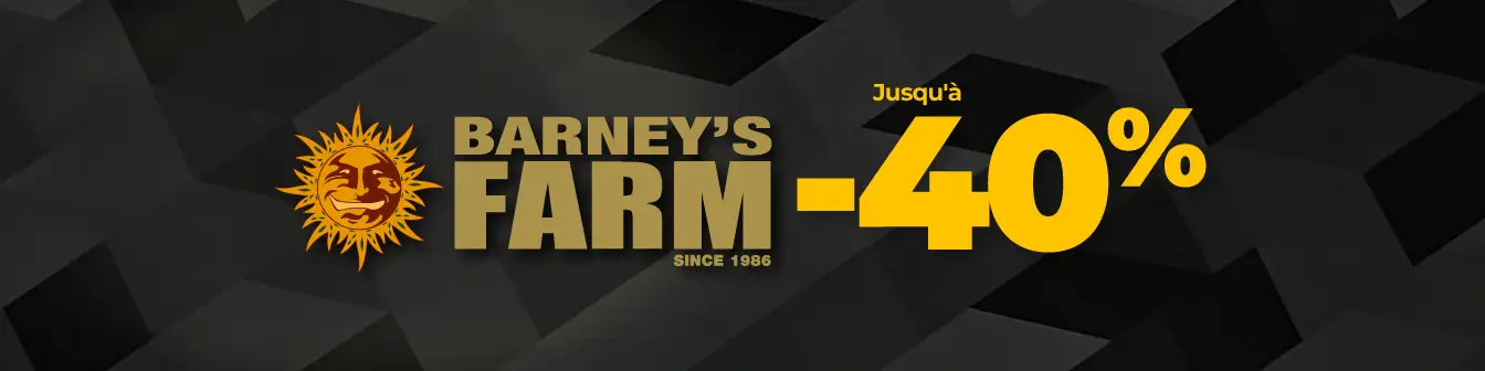 Barney's 40% dte Setembre26