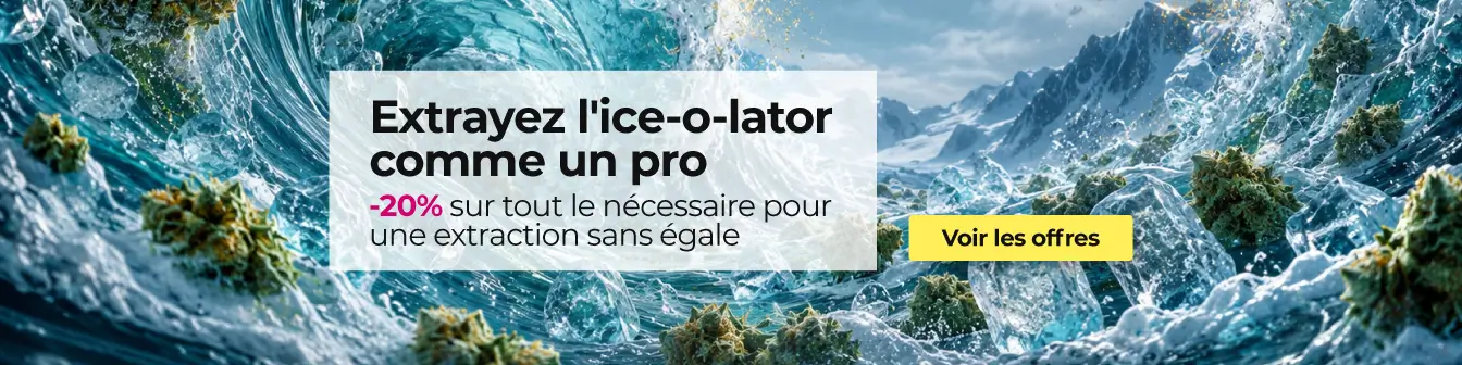 Home Ice o lator -20% 10/26