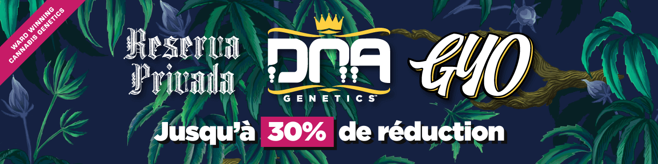 DNA & Reserva Privada& GYO Des22