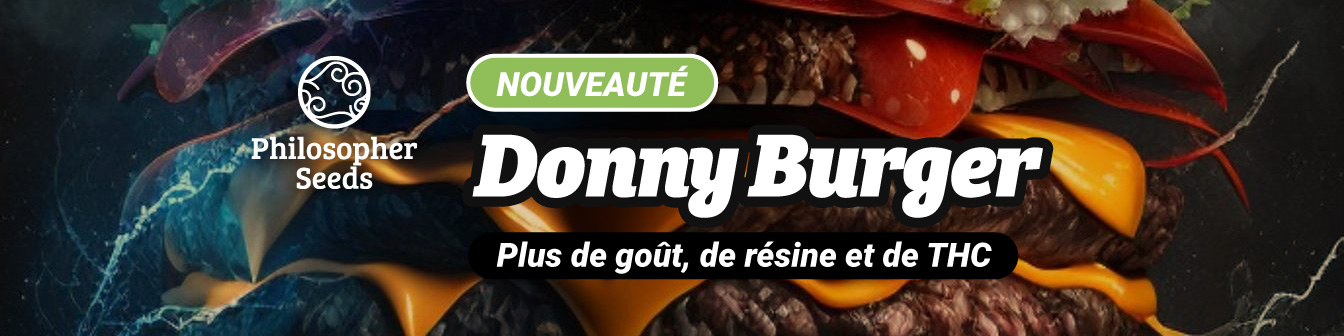 Donny Burger Philo