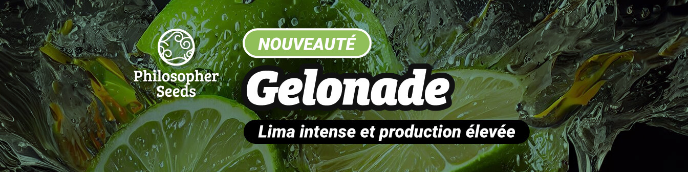 Gelonade