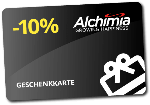 -10% discount on your next purchase